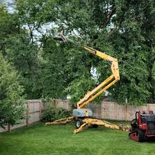 How Our Tree Care Process Works  in  Ocean Grove, NJ